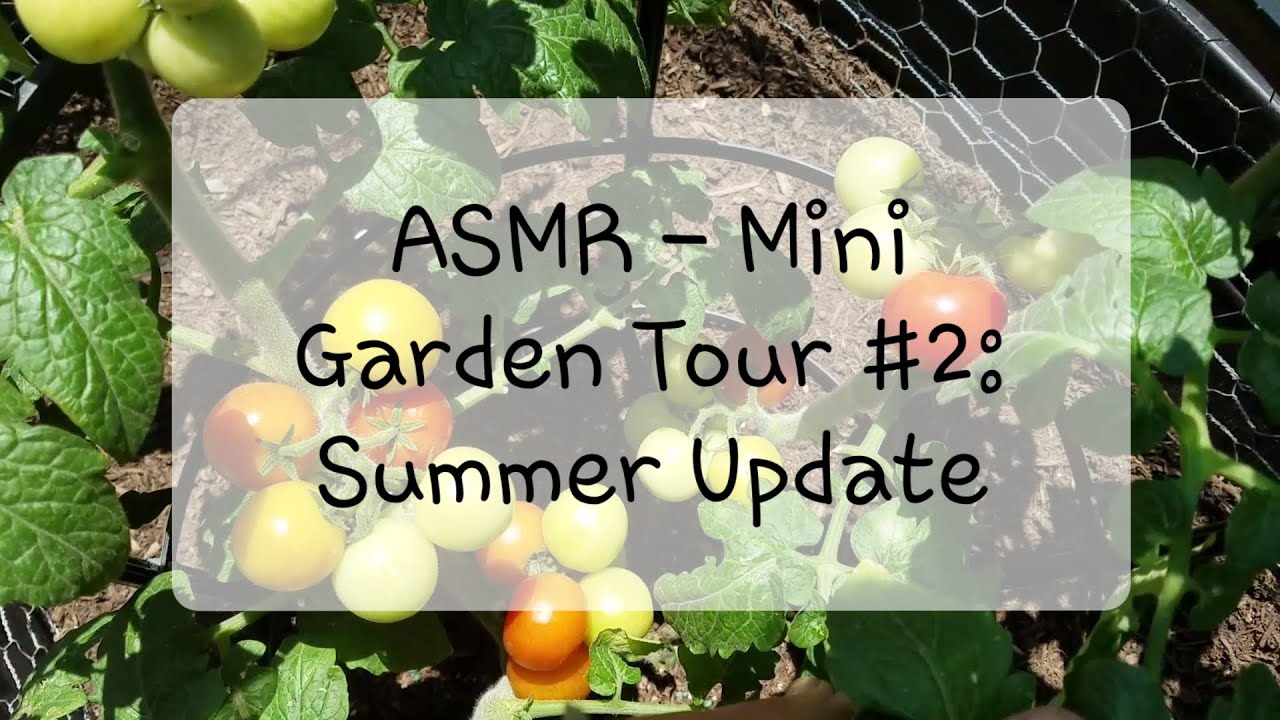 ASMR - Summer Update, Mini Garden Tour #2 [Whisper] [Ambience] [Relaxing]