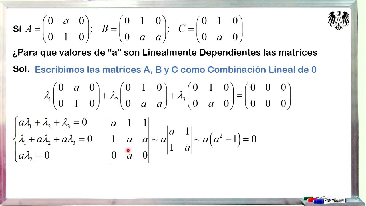 Para que sirven las matrices