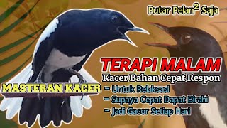 Terapi Malam Supaya Kacer Bahan Cepat Naik Birahi Jadi Gacor