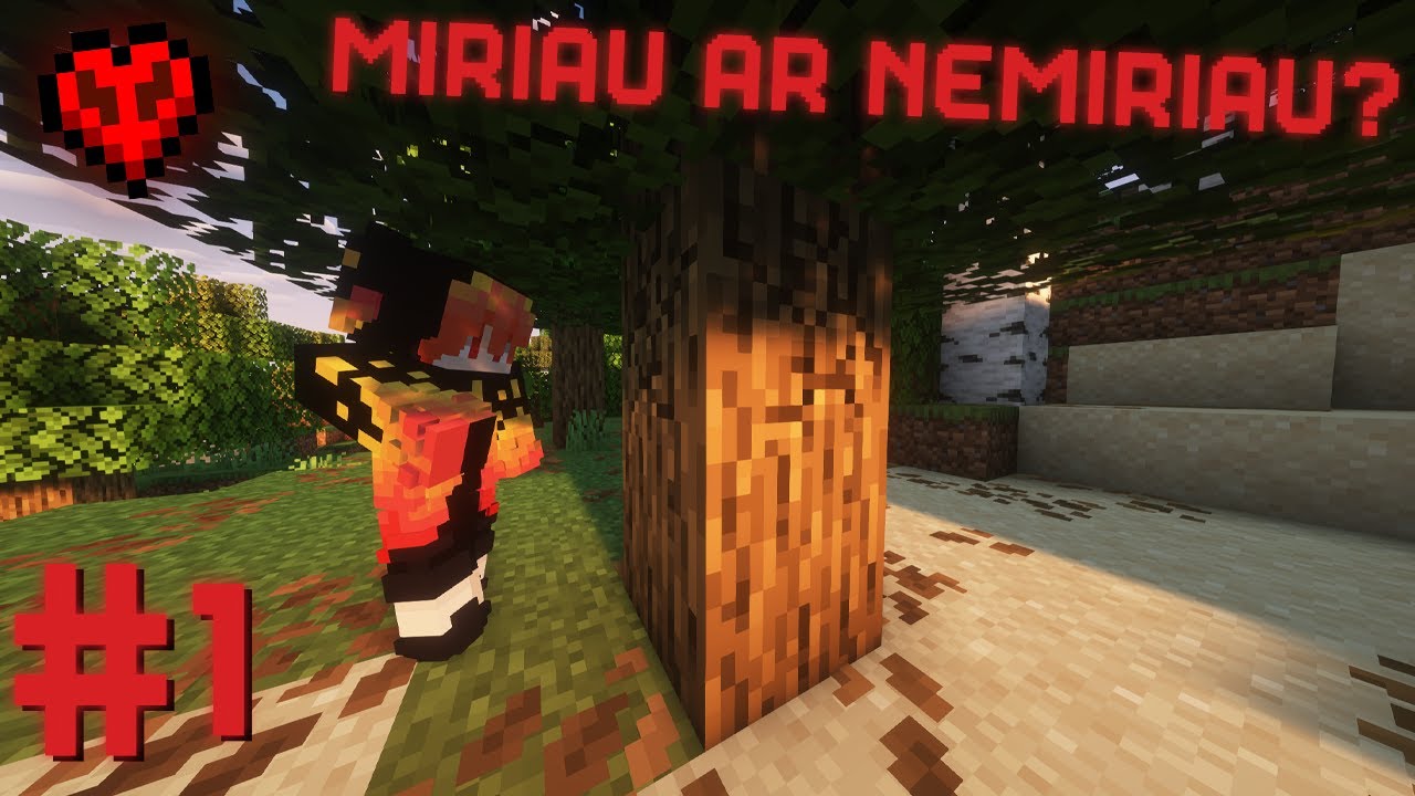 Lietuviškasis HardCore #1 – MIRIAU AR NEMIRIAU?