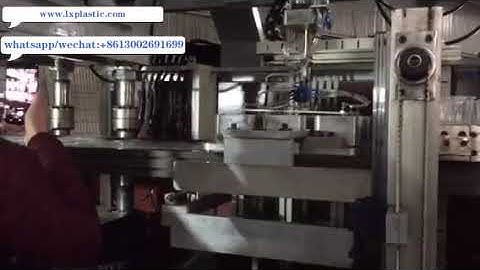 1 1 9up pp container on 3in1 thermoforming machine with A B robot stacker 201905171540