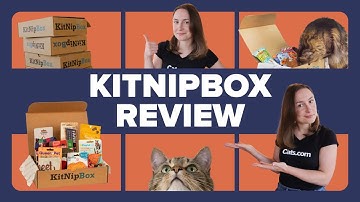 What’s Inside a KitNipBox? Unboxing & Honest Review!
