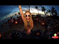 🔴 Reggae Party Aloha Reggae Chill 🌴 Tropical Island Mix for Relaxation &amp; Summer Vibes