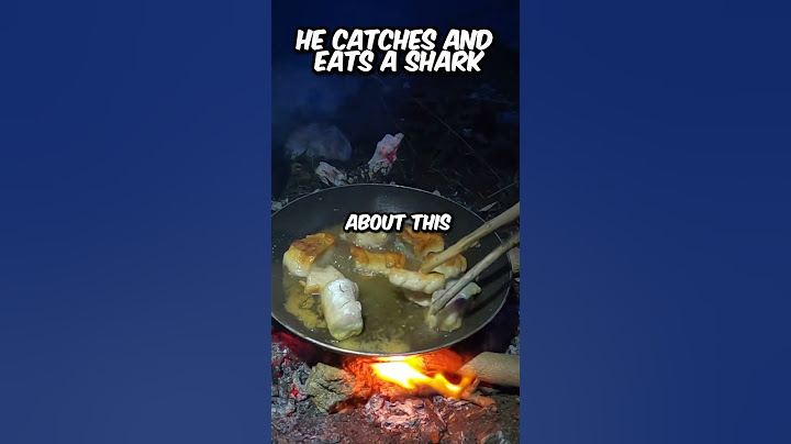How Did He Catch This Monster Shark🦈#fishing #australia #shark