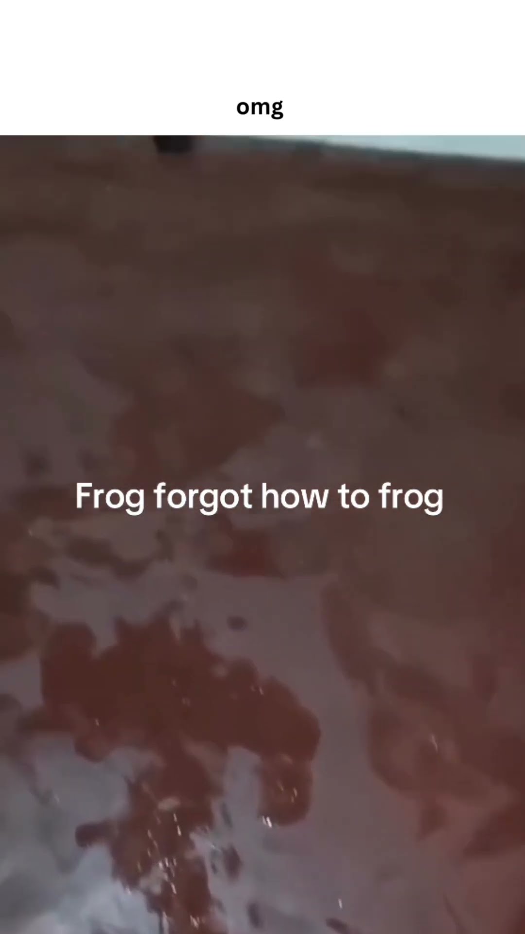 Frogo forgets how to actually walk