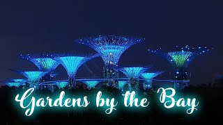 SINGAPORE | Gardens by the Bay【Covid-19 Period】