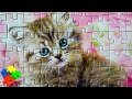 Котик пазл (анимация) - Собираем пазлы - мульт для детей