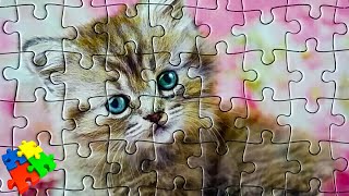 Котик пазл (анимация) - Собираем пазлы - мульт для детей Котик пазл (анимация) - Собираем пазлы - мульт для детей