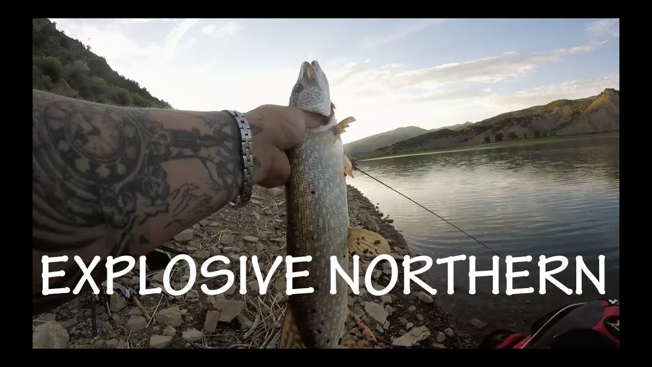 Rifle Gap Smallies and Pike!! + HUGE TOPWATER EXPLOSION!!