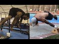 MY PLANCHE PROGRESS from 0 to full planche (2017 to 2019) - @nicky.makes