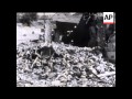 ALGERIAN ROUND UP FOR UNITED PRESS NO SOUND ALGERIAN ROUND UP FOR UNITED PRESS NO SOUND
