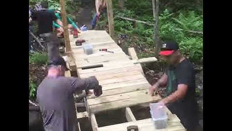 Da Vinci Bridge at Smith Pond Shaker Forest