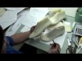 台灣丙級製鞋教學 Taiwan Footwear teaching & Shoe design, with English subtitle