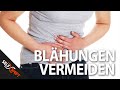 Schnell Verdauliche Lebensmittel