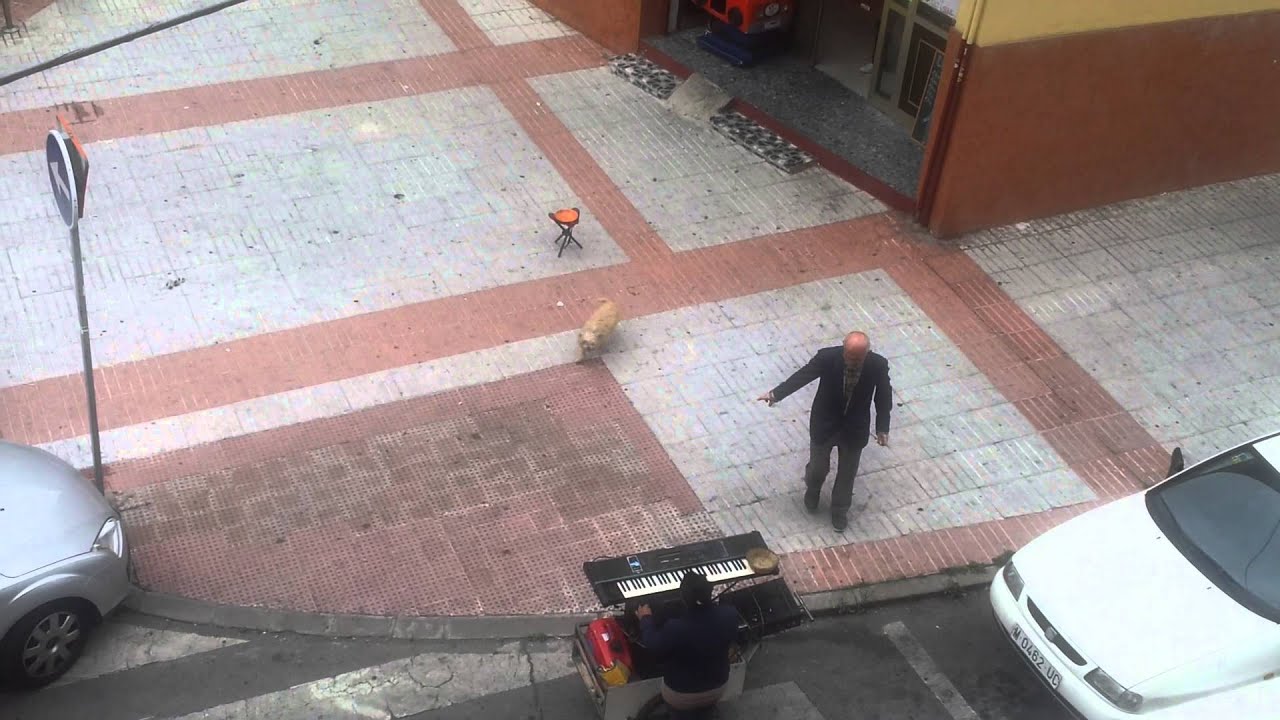 Fiestas en la calle Honda(2)