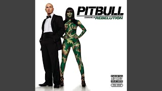 Shut It Down (feat. Akon) - Pitbull