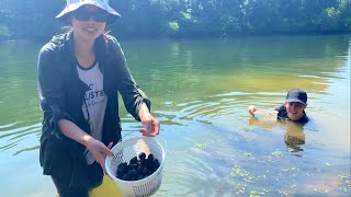 #225: Đi bắt ốc hay vớt ốc ở Mỹ, hơn 10kg ốc trong vòng 1h
