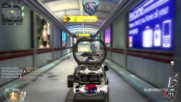 Black Ops 2 SWAT 556 Master