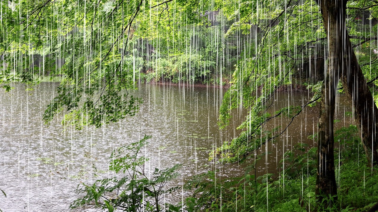 Нежные звуки дождя и воды убаюкают вас | Душевное спокойствие | Избавление от бессонницы