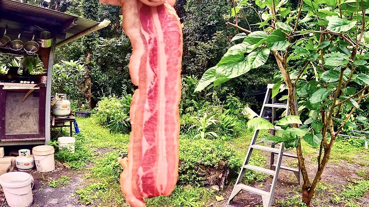 Wild Boar Bacon | How to create meaty magic