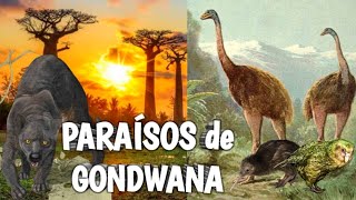 🪶MADAGASCAR y NUEVA ZELANDA ¿Qué tienen en común? 🤔