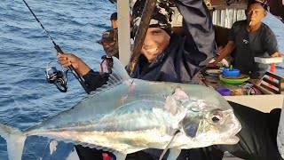 Sadisssss.......SALTIGA Menjerit Ditarik Ikan Kue Rambe Babon Ujung Kulon by Raja gentakkk 115 views 1 year ago 6 minutes, 15 seconds