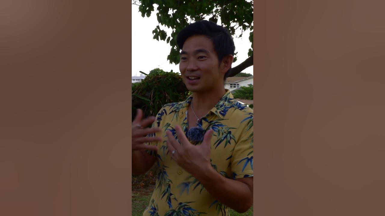 Jim Brickman & Jake Shimabukuro chat on a Hawaiian Hilltop Part 2