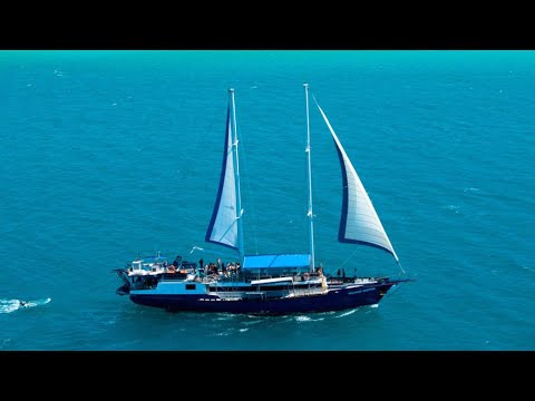 Diving with Down Under Dive on liveaboard "Atlantic Clipper" Cairns, 1999
