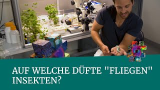 Auf welche Düfte "fliegen" Insekten? – Jena – #wonachsuchstdu