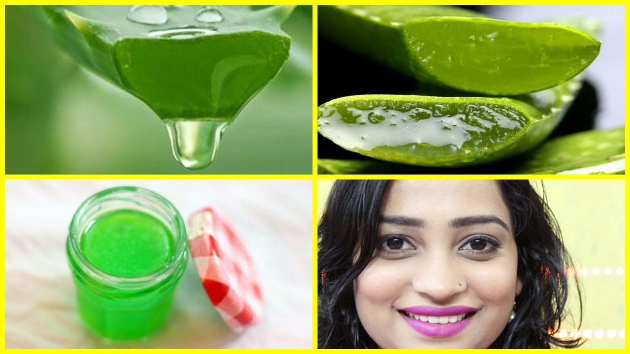 How to make ALOE VERA GEL at Home Homemade Natural Fresh ALOE VERA GEL YouTube