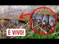 35+ misteriosi fenomeni naturali che sconcertano anche gli scienziati