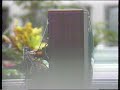 End of video