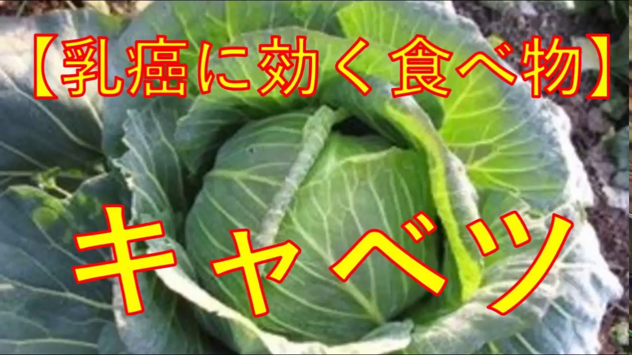 癌 に 効く