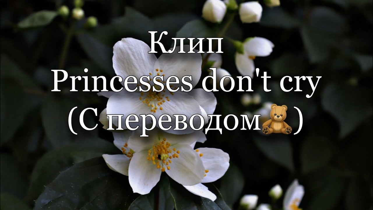 Princess don t cry перевод