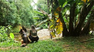 Camping And Cooking In Nature - Asmr Cooking Outdoor