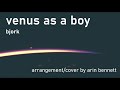 Venus as a boy  bjork  flute cover  arrangement