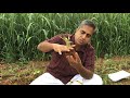 Learn Organic Farming with Shankar - Episode 3 - Soil Fertility