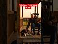 Nobody Wanted The Old Dog… Until One Lonely Man Came
