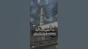 قرآن كريم #فلسطين #قرآن #قران_كريم #اكسبلور #ياسر_الدوسري