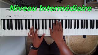 Video thumbnail of "🎹Interprétation: "Lucie" Pascal Obispo au piano"