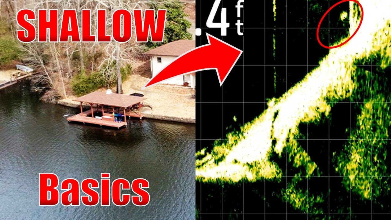 Catch More Bass With Livescope: Shallow Water Basics For Bass