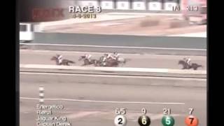 Rienzi - 2013 Parx Allowance Race - First Place Finish