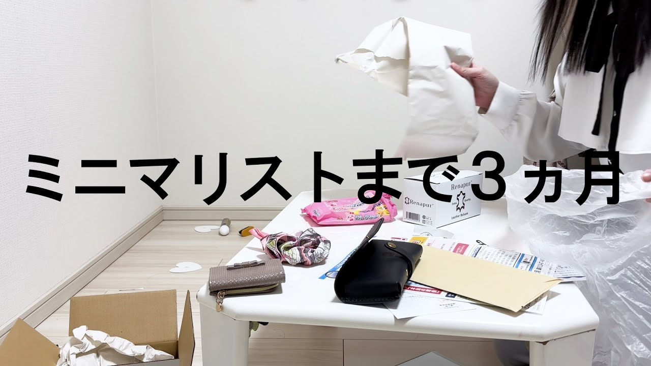 【お掃除vlog】目指せ❗片づけなくていい部屋🏠