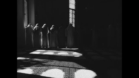 احمد السبكي من سورة العنكبوت