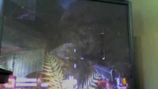 Cod5 Glitch-Cliffside Wii