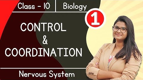 Control & Coordination || Nervous System || Class 10 || Boards 2022-23