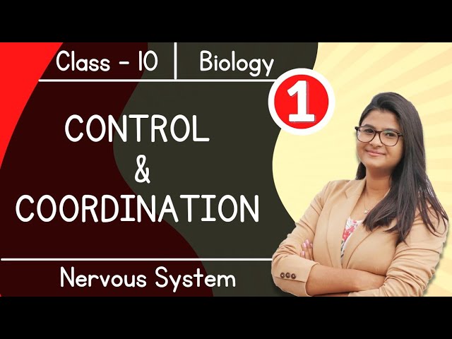 Control & Coordination || Nervous System || Class 10 || Boards 2022-23