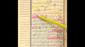 روابط الوجه الأخير من سورة يوسف 🤍