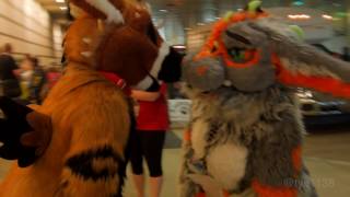 Anthrocon 2017 Telephone & Tayerr On A Saturday Afternoon Walk