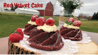 How to Make Red Velvet Bundt Cake | Red Velvet Cake Recipe I Eggless Mini Red Velvet Cake
